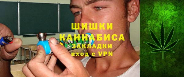 сатива Нязепетровск
