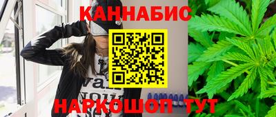 дмт Гай
