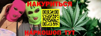 дмт Гай