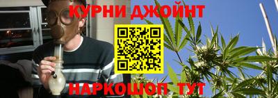 гидропоника Будённовск