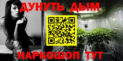 ешки Гатчина
