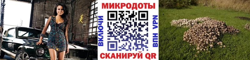 блэк спрут как войти  Скопин  Галлюциногенные грибы GOLDEN TEACHER  где продают  