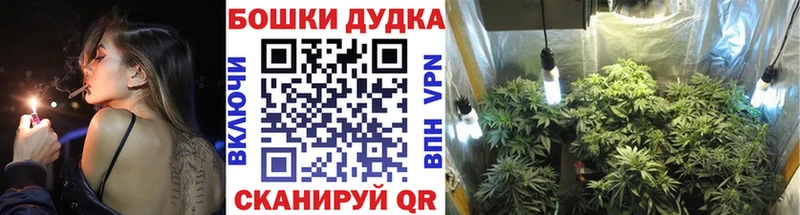 Марихуана Amnesia  как найти наркотики  Скопин 